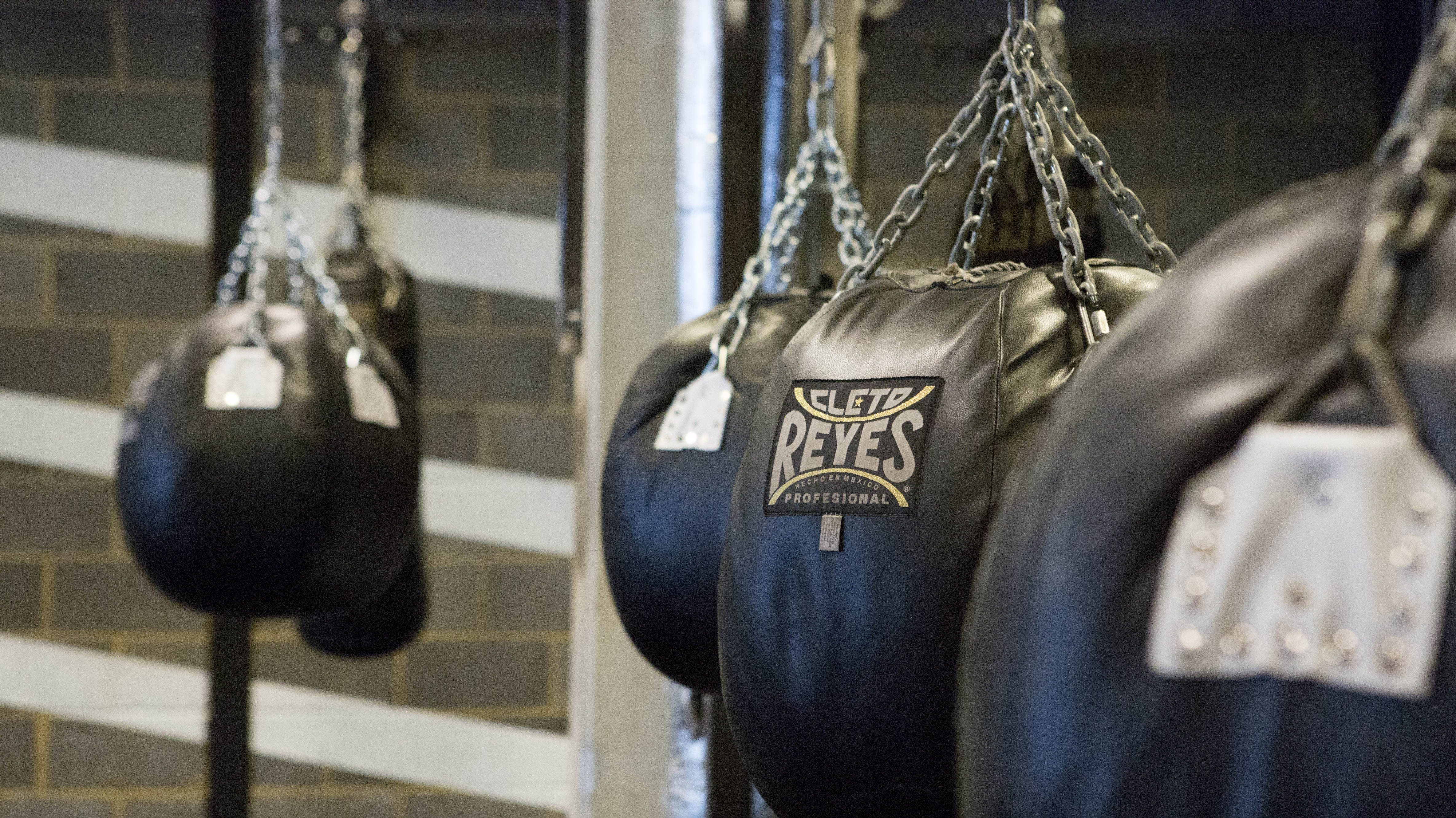 A row of boxing punch bags.